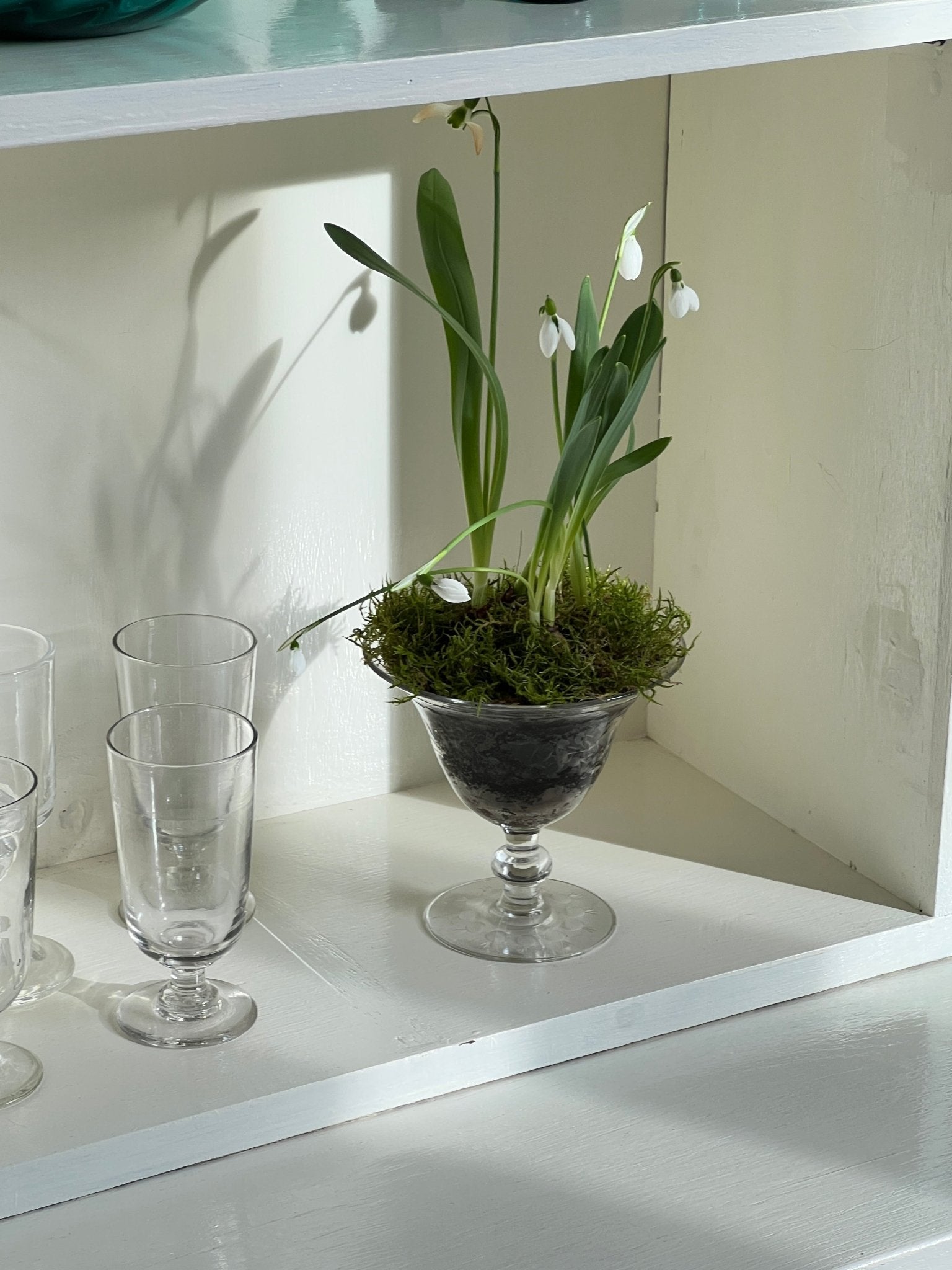 Glass vase - NEROLI