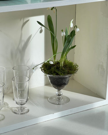 Glass vase - NEROLI