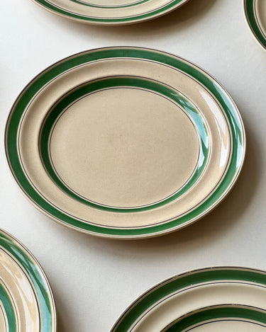 Green stripe dinner plates (10 pcs) - NEROLI