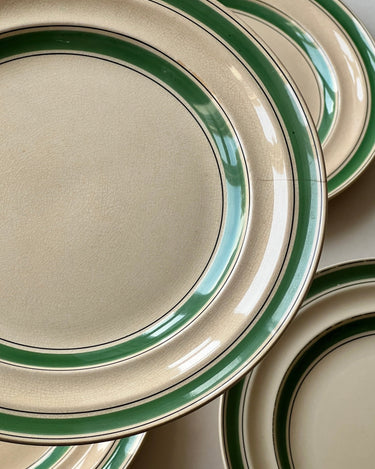 Green stripe dinner plates (10 pcs) - NEROLI