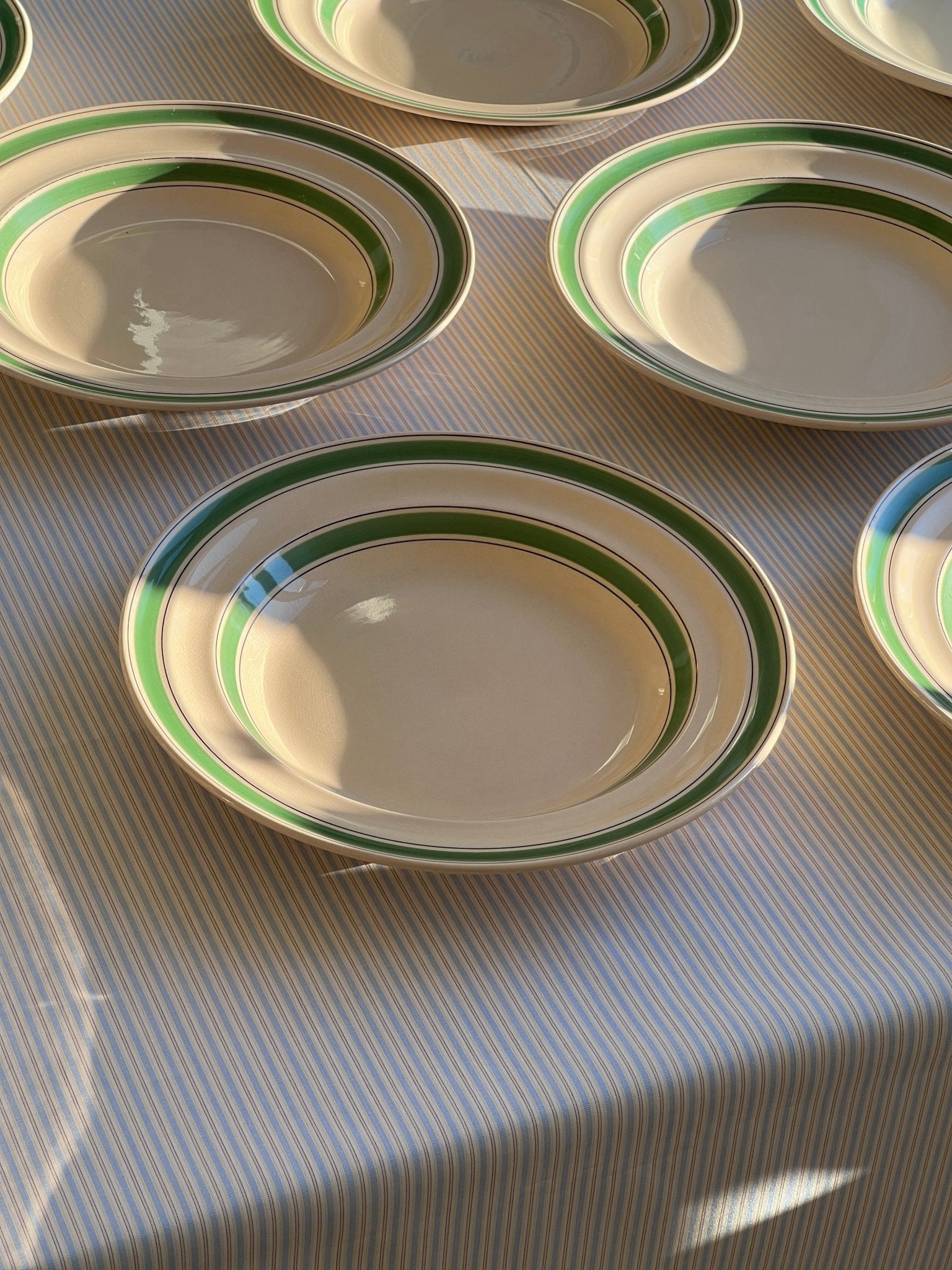 Green stripe pasta plates (11 pcs) - NEROLI