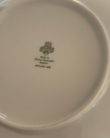 Green striped pasta plates (15 pcs) - NEROLI