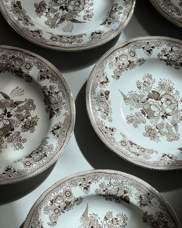 Gustafsberg pasta plates (6 pcs) - NEROLI