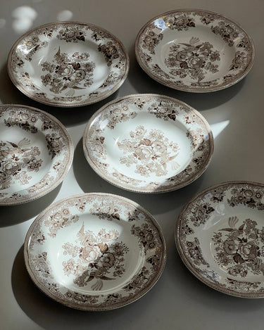Gustafsberg pasta plates (6 pcs) - NEROLI