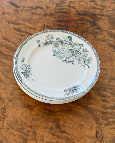 Gustafsberg side plates (6 pcs) - NEROLI