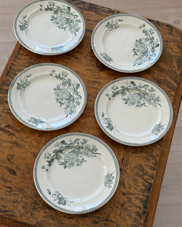 Gustafsberg side plates (6 pcs) - NEROLI