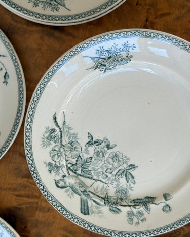 Gustafsberg side plates (6 pcs) - NEROLI