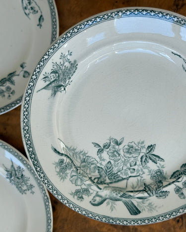 Gustafsberg side plates (6 pcs) - NEROLI