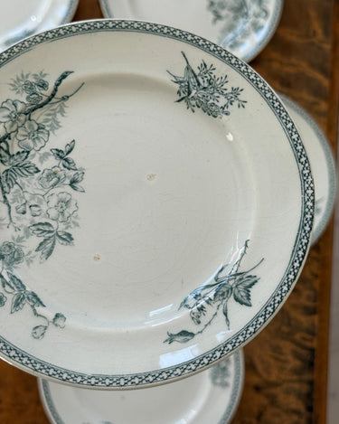Gustafsberg side plates (6 pcs) - NEROLI