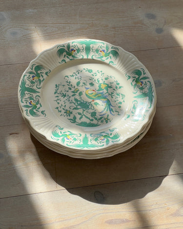Haldensleben dinner plates (4 pcs) - NEROLI
