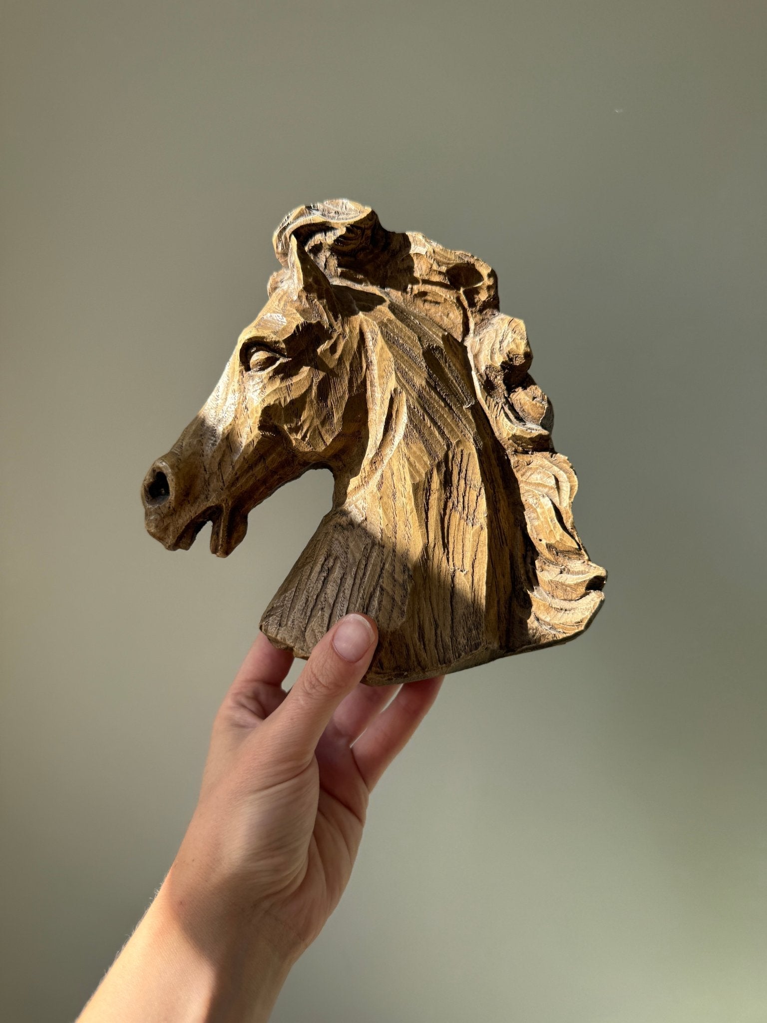 Horse head - NEROLI