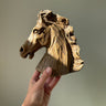 Horse head - NEROLI
