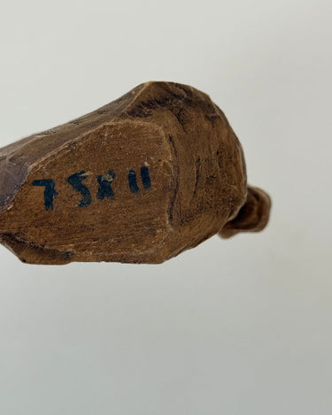 Horse head - NEROLI