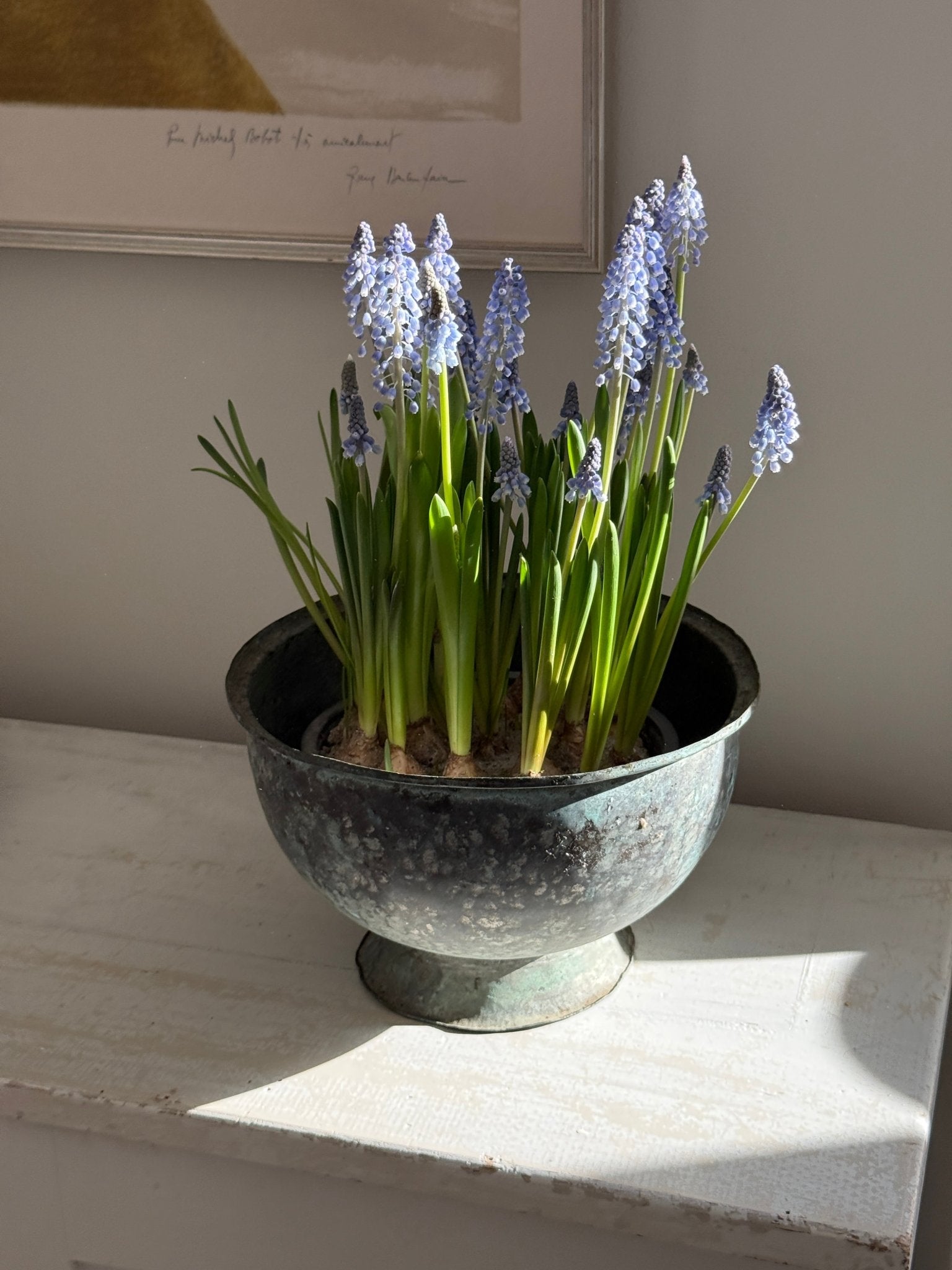 Italian sculptural vessel - NEROLI