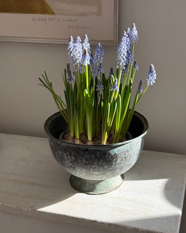 Italian sculptural vessel - NEROLI