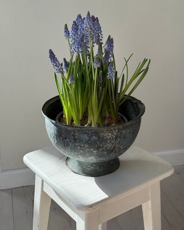 Italian sculptural vessel - NEROLI