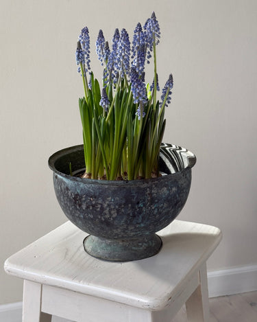 Italian sculptural vessel - NEROLI