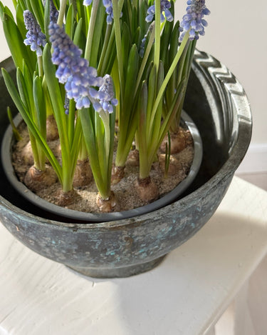 Italian sculptural vessel - NEROLI