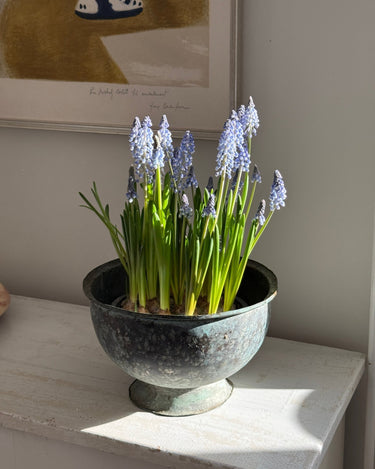 Italian sculptural vessel - NEROLI