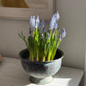 Italian sculptural vessel - NEROLI