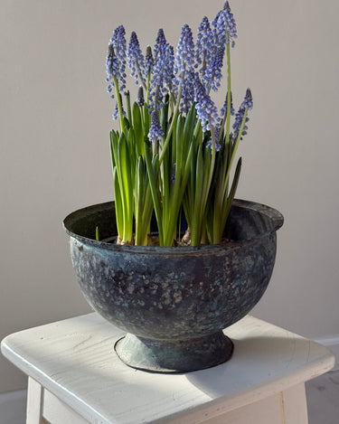 Italian sculptural vessel - NEROLI