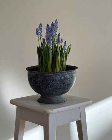 Italian sculptural vessel - NEROLI