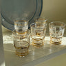 Liqueur glasses (5 pcs) - NEROLI