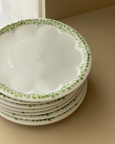 Lunch plates (8 pcs) - NEROLI