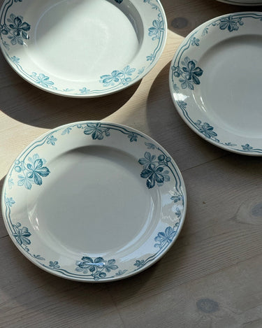 Mint green lunch plates (7 pcs) - NEROLI
