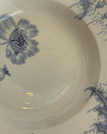 Morphée pasta plates (4 pcs) - NEROLI