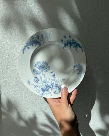 Morphée pasta plates (4 pcs) - NEROLI