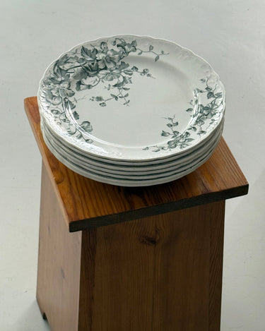 Nyponblomma dinner plates (6 pcs) - NEROLI