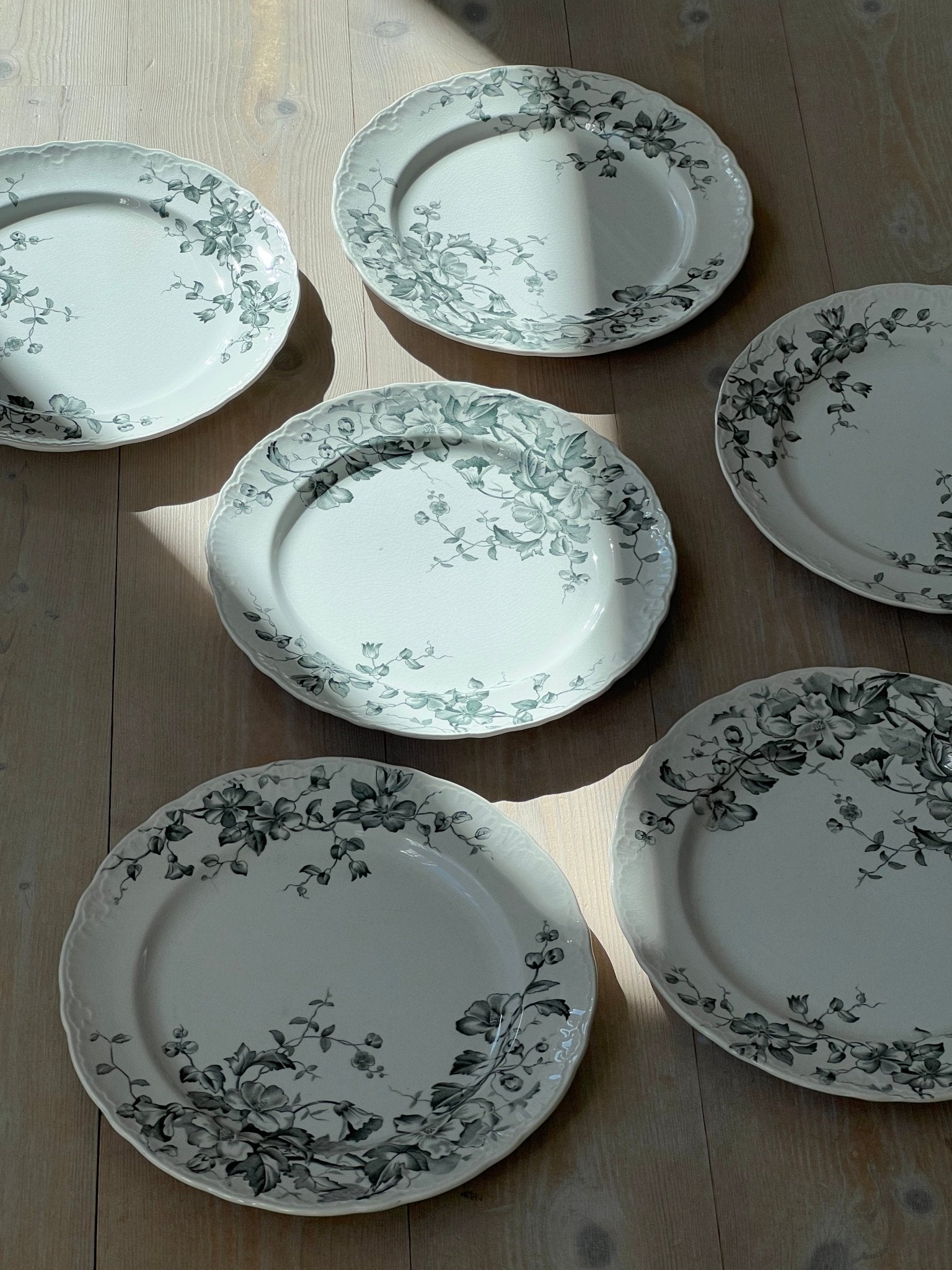 Nyponblomma dinner plates (6 pcs) - NEROLI