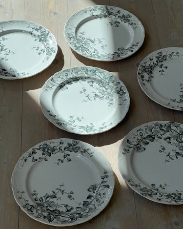 Nyponblomma dinner plates (6 pcs) - NEROLI