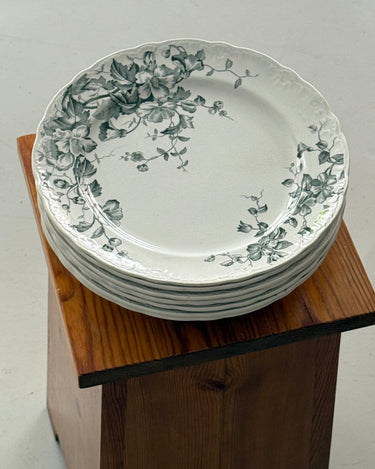 Nyponblomma dinner plates (6 pcs) - NEROLI