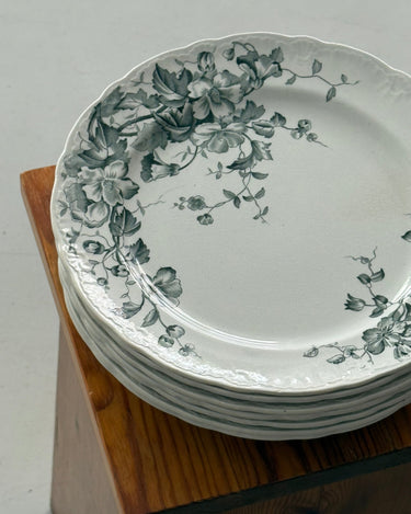 Nyponblomma dinner plates (6 pcs) - NEROLI