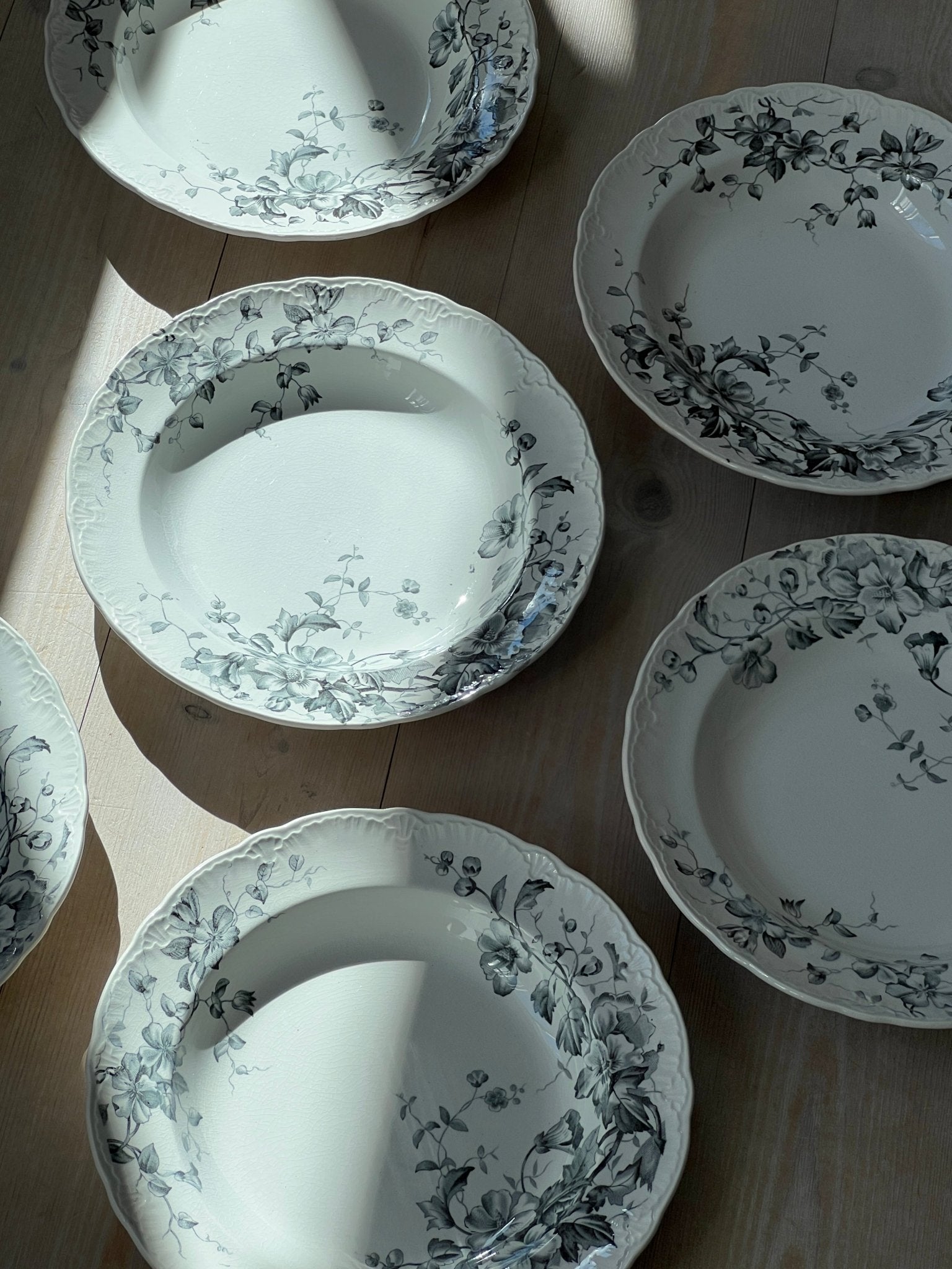 Nyponblomma pasta plates (6 pcs) - NEROLI