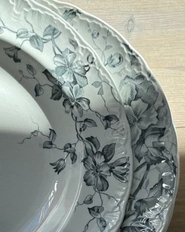 Nyponblomma pasta plates (6 pcs) - NEROLI