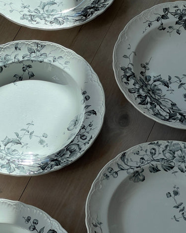 Nyponblomma pasta plates (6 pcs) - NEROLI
