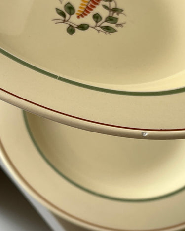 Pasta plates (10 pcs) - NEROLI