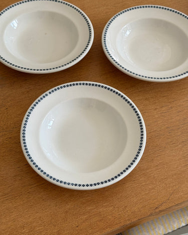 Pasta plates (3 pcs) - NEROLI
