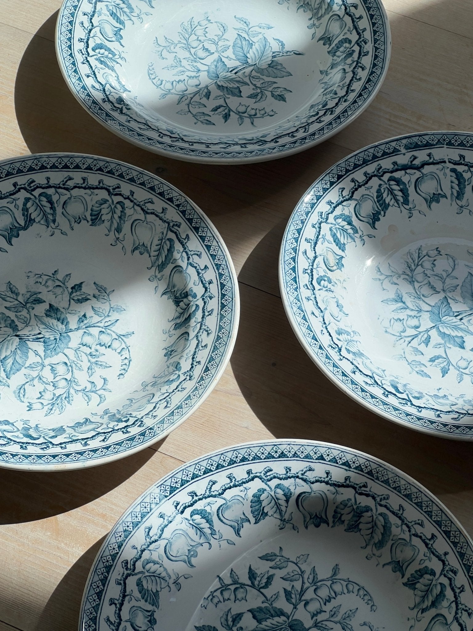 Pasta plates (4 pcs) - NEROLI