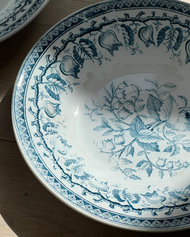 Pasta plates (4 pcs) - NEROLI