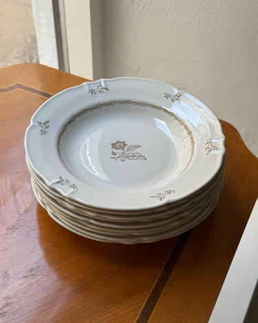 Pasta plates (8 pcs) - NEROLI