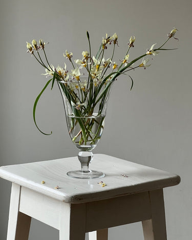 Pedestal glass vase - NEROLI