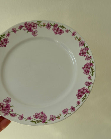 Pink floral dinner plates (10 pcs) - NEROLI