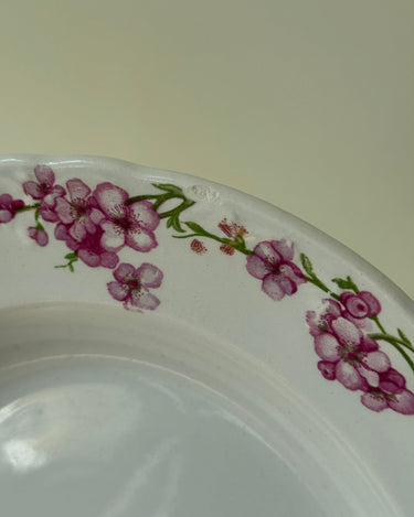 Pink floral dinner plates (10 pcs) - NEROLI