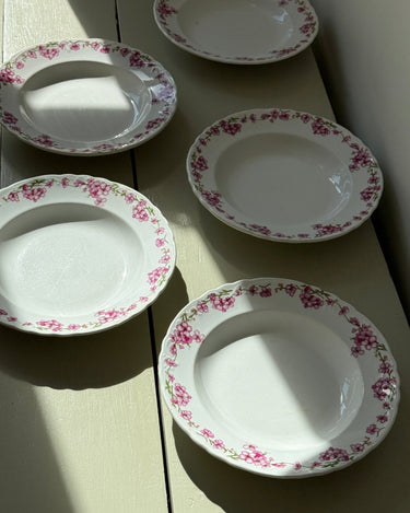 Pink floral pasta plates (6 pcs) - NEROLI