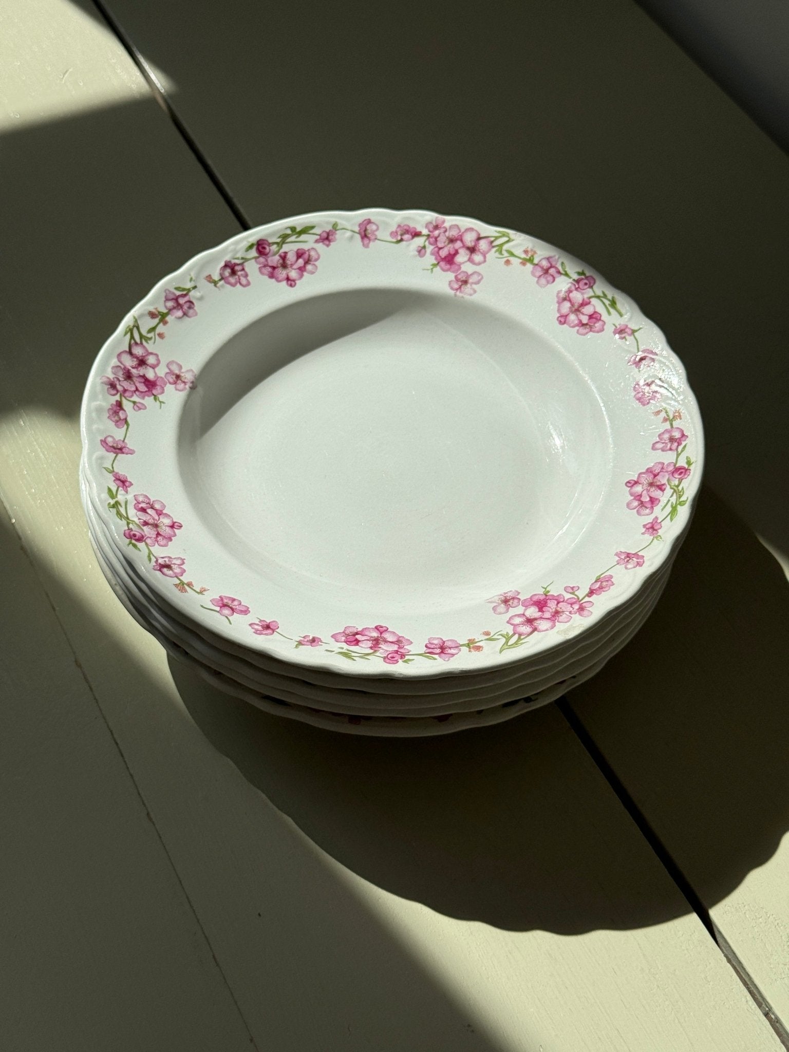 Pink floral pasta plates (6 pcs) - NEROLI