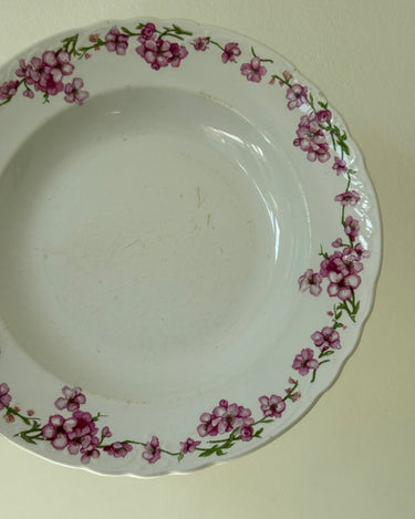 Pink floral pasta plates (6 pcs) - NEROLI